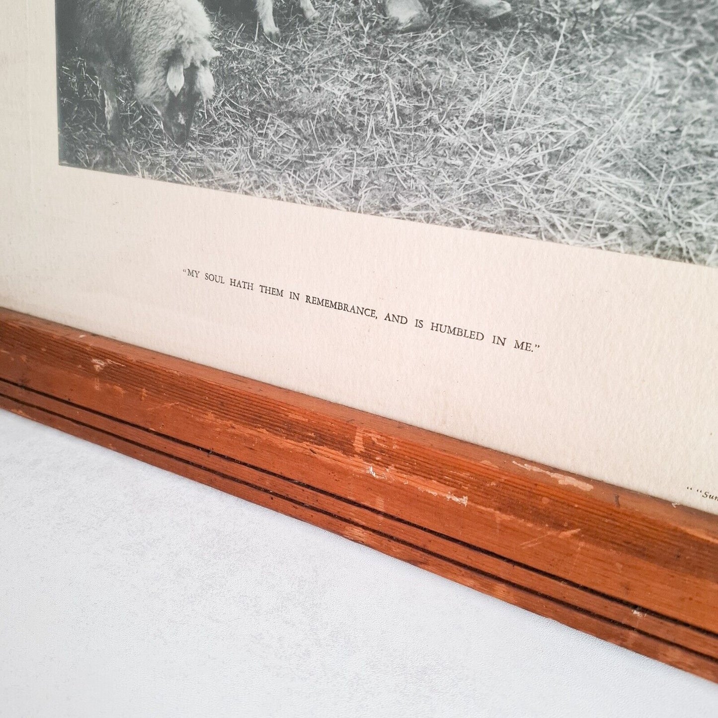 Vintage Press Photo Armistice Remembrance Day 1933 Old wooden frame Shepherd