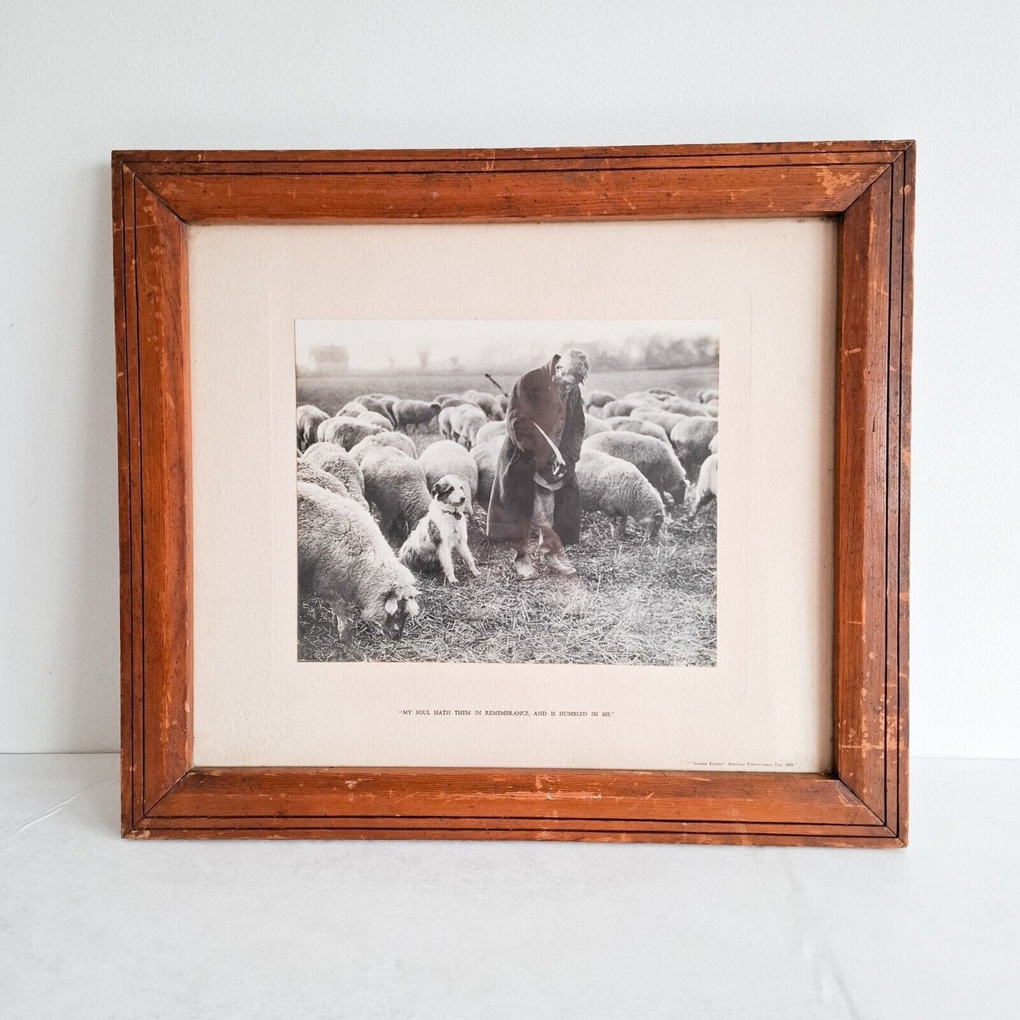 Vintage Press Photo Armistice Remembrance Day 1933 Old wooden frame Shepherd