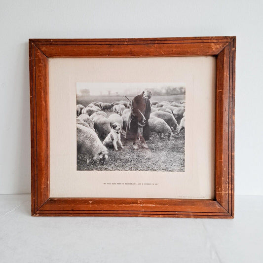Vintage Press Photo Armistice Remembrance Day 1933 Old wooden frame Shepherd
