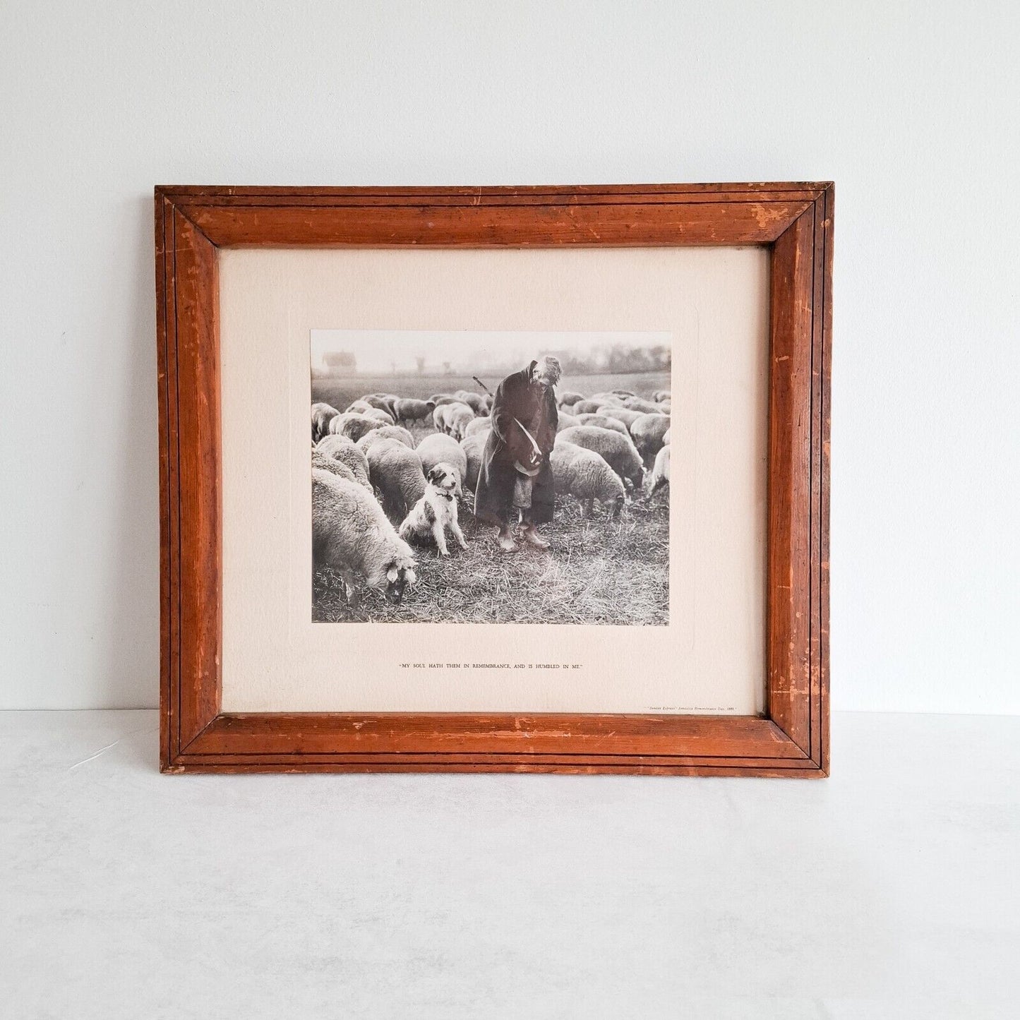 Vintage Press Photo Armistice Remembrance Day 1933 Old wooden frame Shepherd