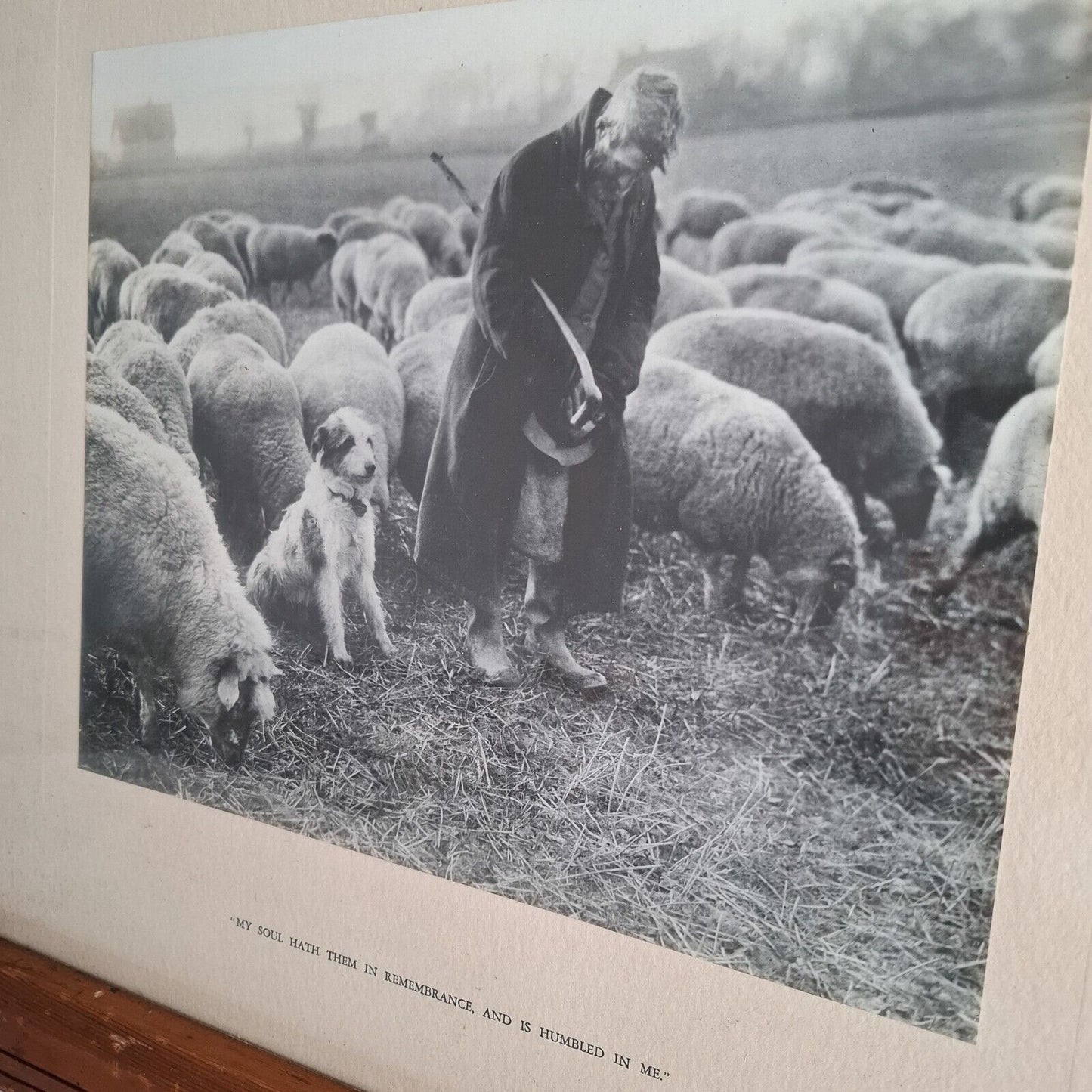 Vintage Press Photo Armistice Remembrance Day 1933 Old wooden frame Shepherd